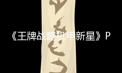 版下版分王载 m正载略机流下牌战星甲新