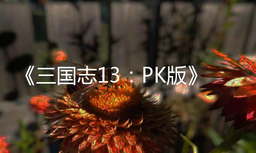 K版国志攻略重智力三复刷