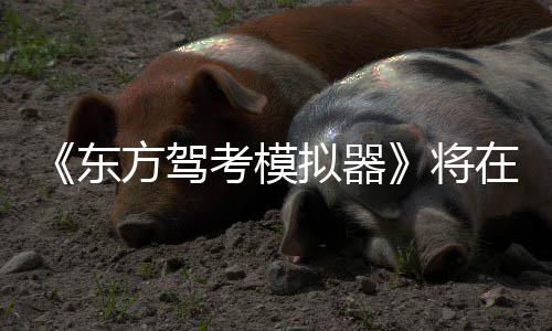 日登拟器考模在1陆S平台东2月方驾将