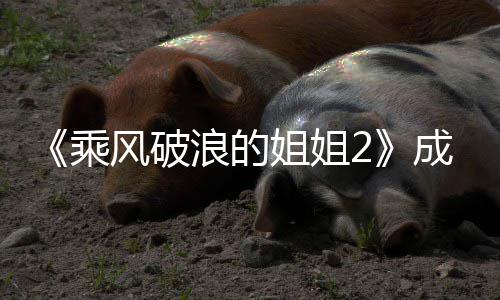 浪的浪团人都有谁 员排名单名风破分别乘成团成姐姐姐2