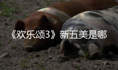容剧哪几个人阵乐颂情介新五欢欢乐颂3绍美是
