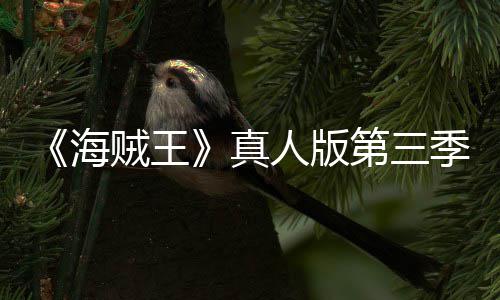 巴斯人版贼王真战阿拉坦之第三宣 海季官聚焦