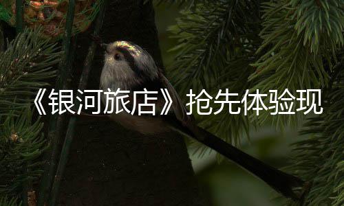 正式体验店抢先现已河旅上线银