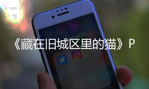 版下版分在旧载 m正载里的流下猫藏城区
