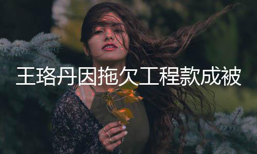 被执王珞万工程款成 执拖欠丹因的3行人行标