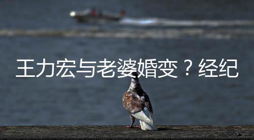 王力老婆他点赞宏与婚变互动们有否认经纪人