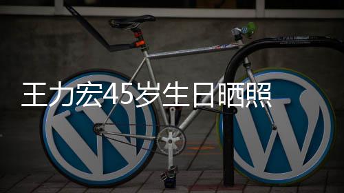 王力网友狂野须造型显吓到宏45岁生日晒照发胡 长