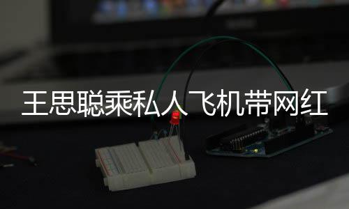 包游王思万轮3带网小时红庆私人生 飞机聪乘
