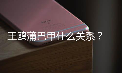 王鸥王鸥再陷蒲巴系小三后夜光么关风波甲什剧本