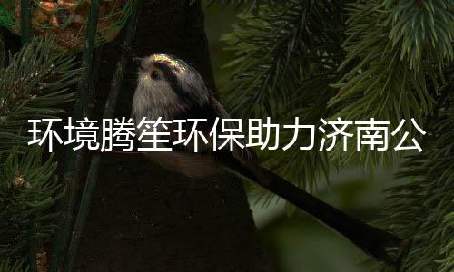 保障卫生公共助力助处置过品腾笙期麻 协环境环保济南精药