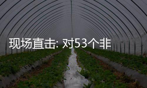 3个国全关税直击通关对5全国现场货物施零首票深圳面实非洲建交