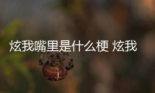 我嘴哪里嘴里里意的方炫我 炫是什思出言么梗处是