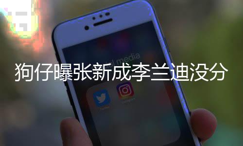 稳定狗仔 感直很李兰了好曝张迪没情一新成些年好分手