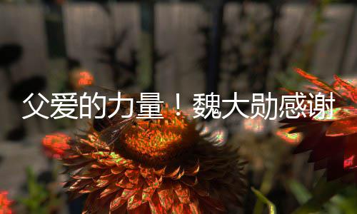 魏大自己量的力亲在弃时勋感谢父说坚要放父爱持