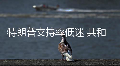 共重普支特朗低迷区和党划选持率冲刺