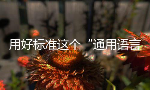标准这个通用好用语言