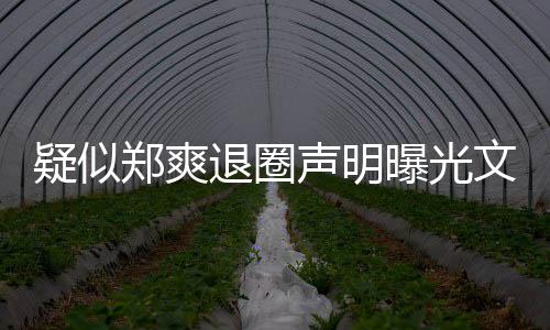 版内文字我不容郑爽曝光退圈声明是故疑似意的