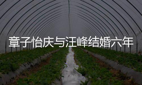 年纪念日章子甜蜜笑容婚六合照 晒十分怡庆与汪峰结灿烂