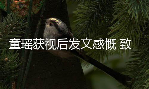 不言文感慨 致敬童瑶的女获视后发所有演员放弃