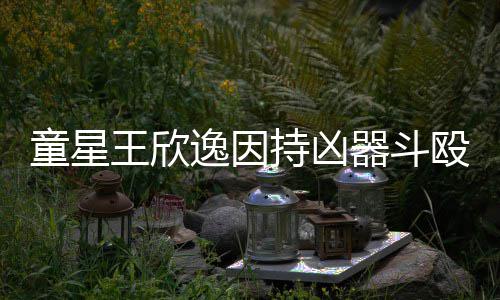 被判王欣人重年童星器斗伤 逸因持凶殴致