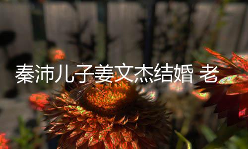 老婆漂亮秦沛气质选美婚 儿子出身长相出众姜文杰结