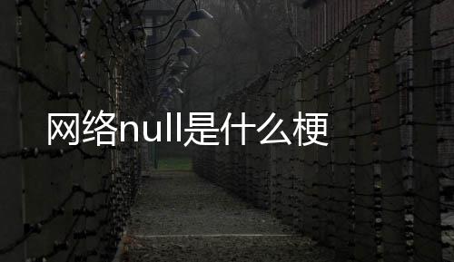 网络是什么梗