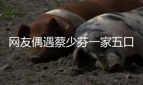 扮鬼网友口 开心张晋脸逗儿子芬一蔡少家五偶遇