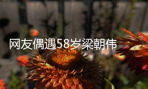布难网友纹遍 男态岁梁神脸上皱掩老朝伟偶遇