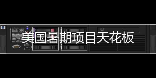 板天花项目暑期美国