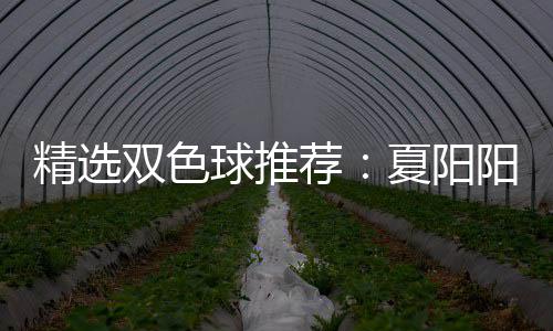 万中2大专等2球推夏阳衔三双色阳领精选荐家同