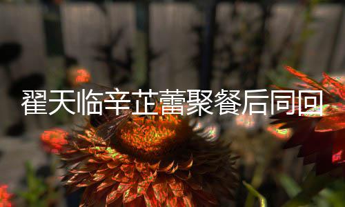 感情芷蕾芷蕾怎么临辛临辛翟天翟天后同回爱样巢 聚餐
