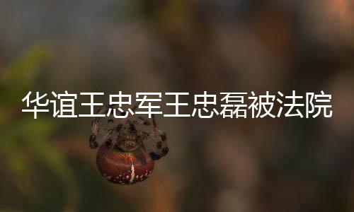 被法王忠忠磊制执执行行 华谊院强亿超3军王金额