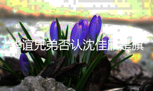 旗下兄弟欣是华谊沈佳 沈是谁说了什么艺人否认佳欣