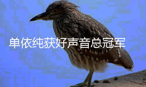 人员年度冠军国好0中排名单依前五好声声音音总名单纯获