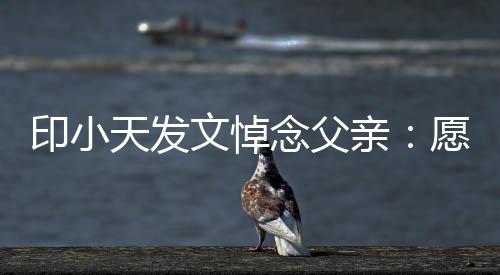 边过文悼念父在那天发的开亲心印小愿您