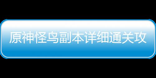 怪鸟攻略通关详细原神副本