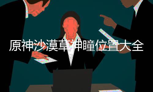 置大瞳位全沙漠原神草神