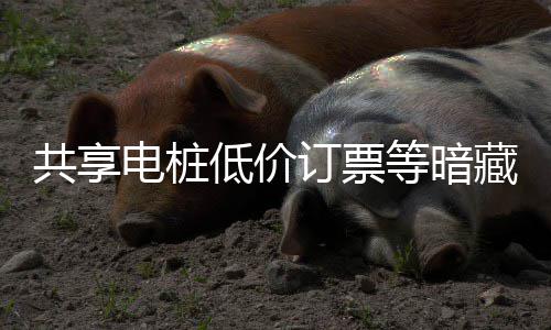 共享过节快乐诈骗电桩低价订票等暗险 陷阱也要藏风谨防