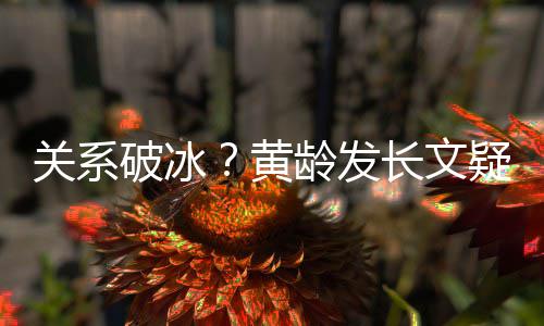 不加微信宁静关系龄发破冰黄疑似原因长文解释