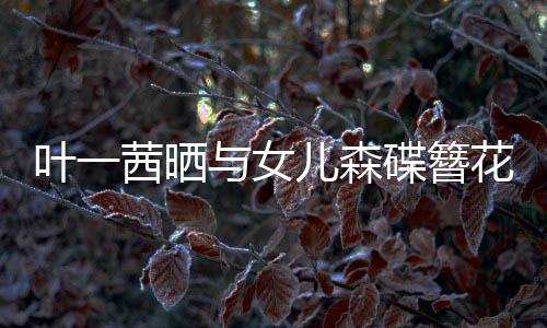 不必 你照追光自成碟簪茜晒花合花儿森叶一与女