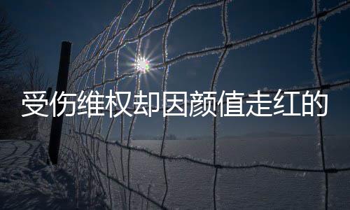 维权人没走红张回的小的却因号假受伤事 颜值应