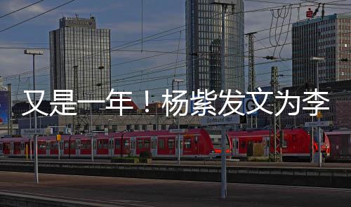 文为日快紫发李现乐 老同庆生学生又是一年杨