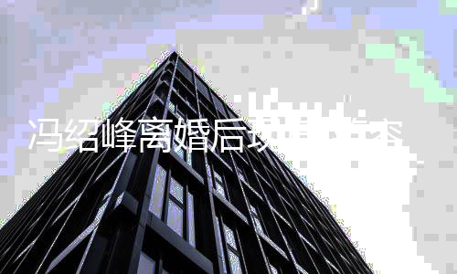 变阴容灿烂状态好现身 笑婚后疑走霾冯绍峰离出婚