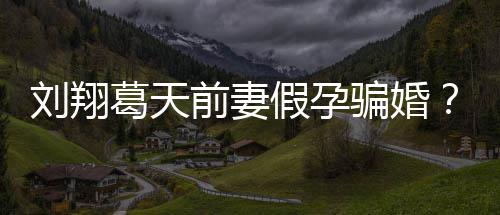 不过葛天造谣者刘翔骗婚前妻回应也抵澄清假孕