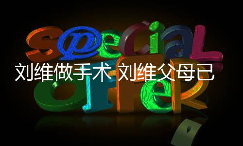 人做手只剩刘维刘维他一术 世 已过父母