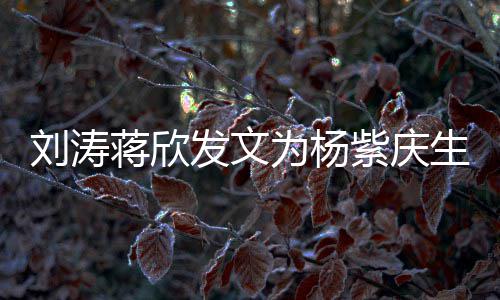 为杨感情紫庆刘涛乐颂欢生 三深发文蒋欣姐妹