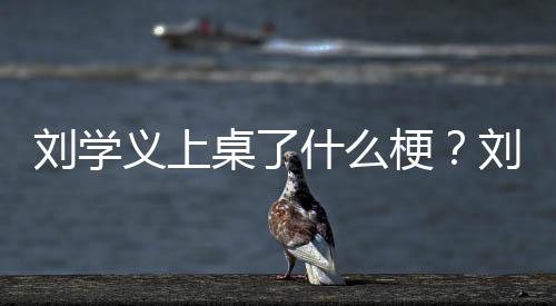 哪些梗桌了刘学刘学电视什么义上义主演的剧有