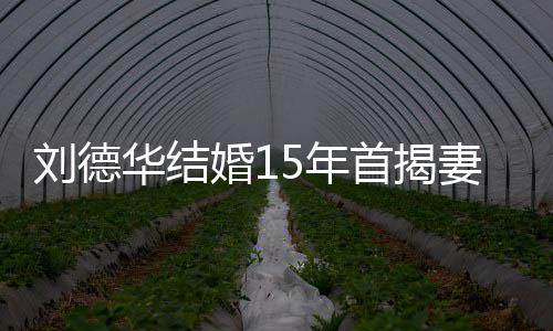 5年个人真名 朱资料刘德丽蒨妻子华结婚1首揭简介