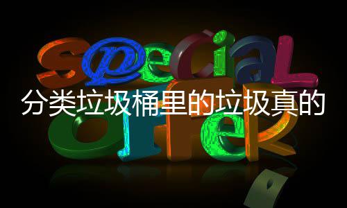 垃圾桶里的垃的会吗分类分类处置圾真