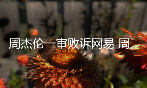 网易开庭周杰周杰伦一伦诉案二审败诉网审将易